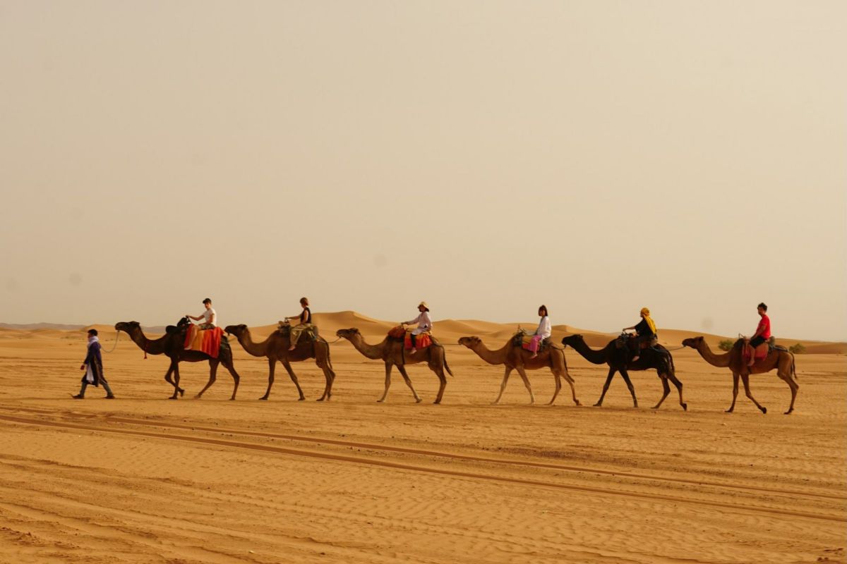 deserto