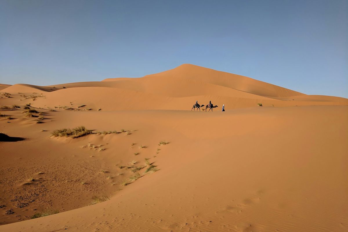fes to marrakech through desert